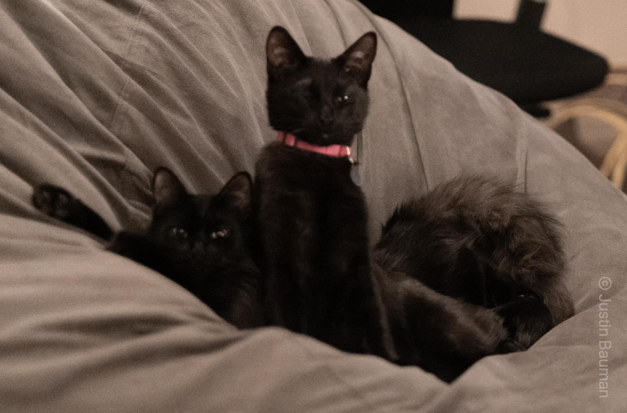 Luna winking, and Lilith is comfortable